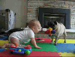 Прикол! Собака учит малыша ползать